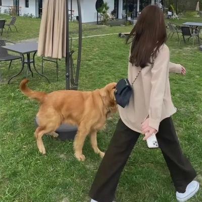 鬼神传